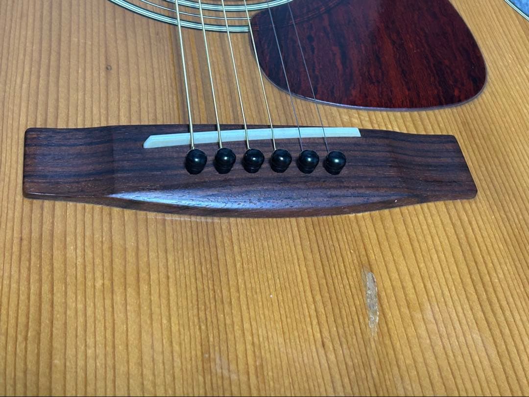 Yamaha FG-160 ハードケース付き