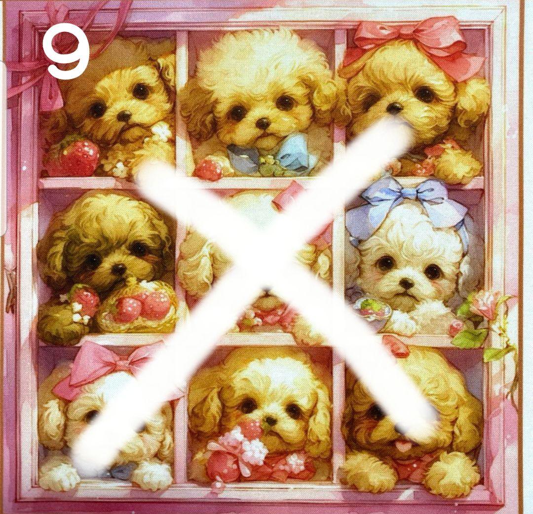 オーダー受付　クローゼット　トイプードル　ご予約ページ　5/7