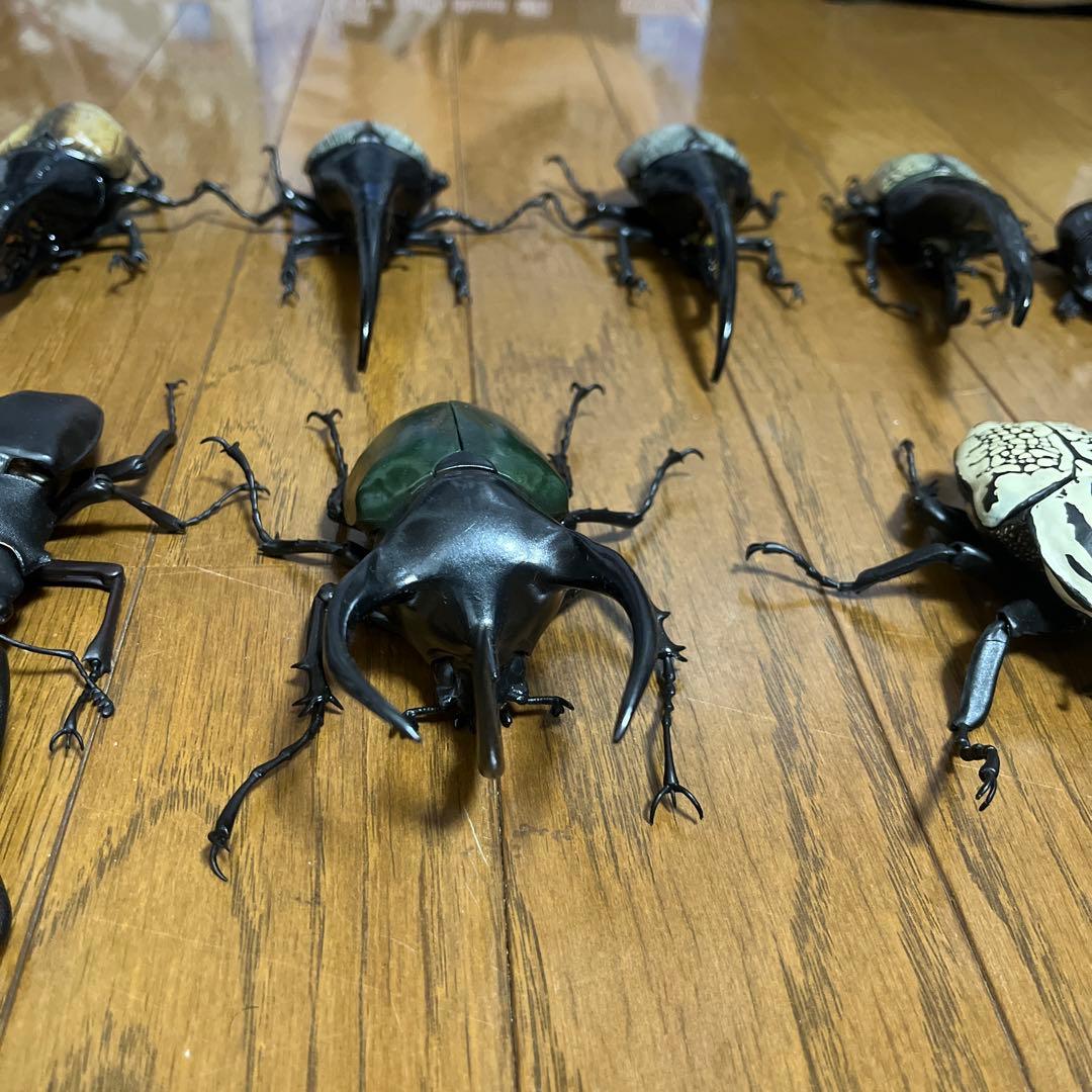 いきもの大図鑑