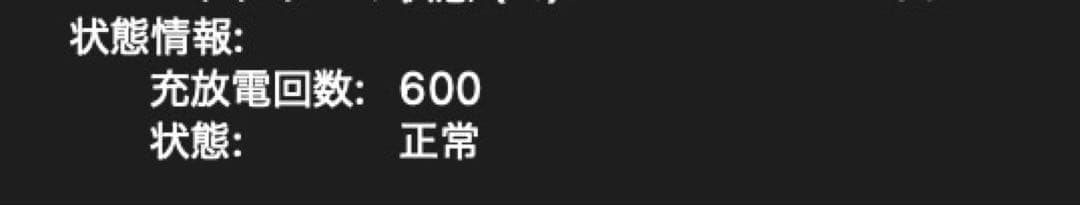 【US】 MacBook Pro 13 本体 2020 純正充電機OS26対応