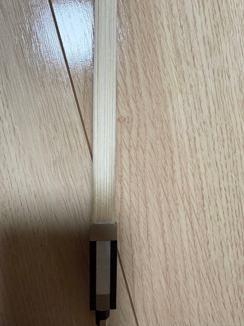 分数バイオリン 2022年製 Eastman VL80 1/2バイオリン本体