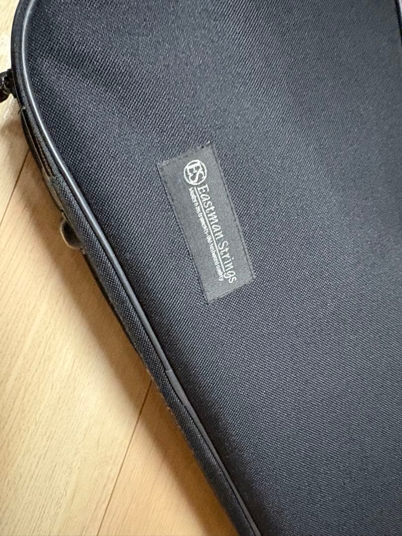 分数バイオリン 2022年製 Eastman VL80 1/2バイオリン本体