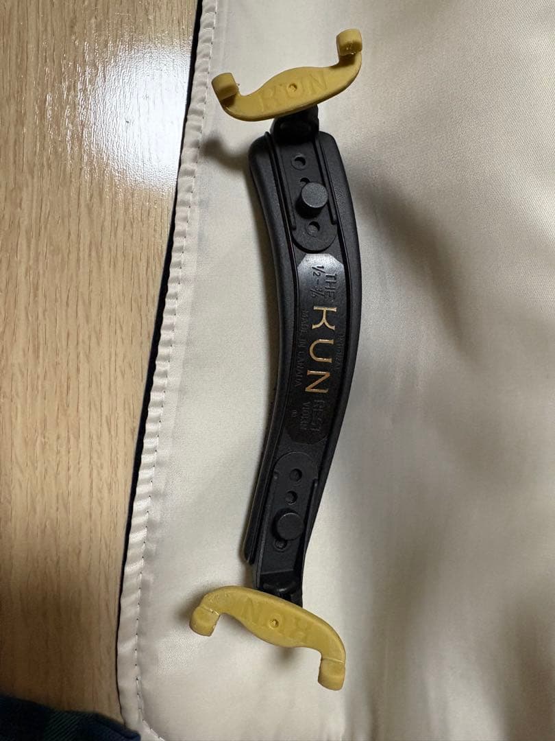 分数バイオリン 2022年製 Eastman VL80 1/2バイオリン本体