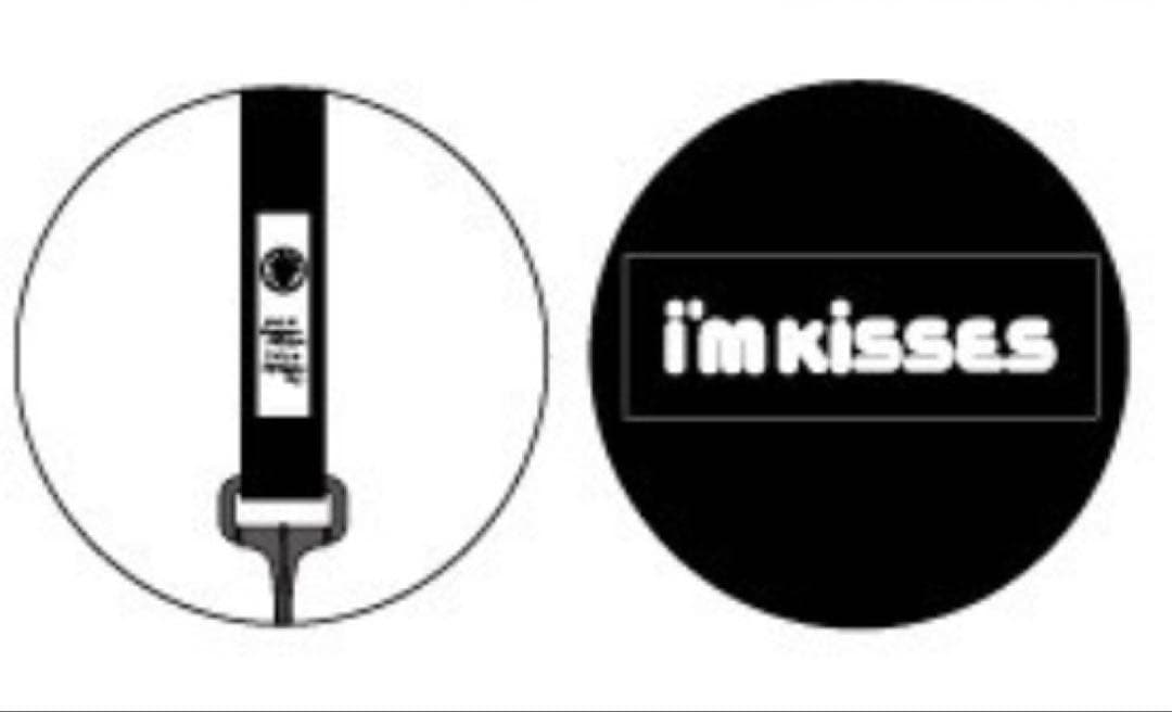 【激レア！新品未開封】氣志團 KISSES専用 ミニボストンバッグ 完売品