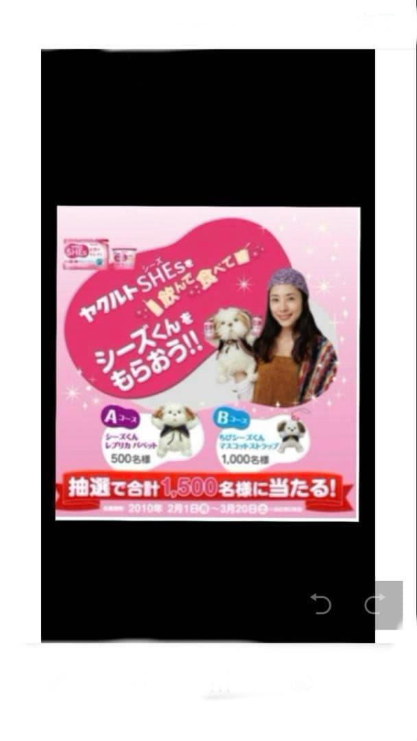 犬ぬいぐるみ シーズー鈴付き 約15cmヤクルトshe'sシーズ　懸賞　非売品