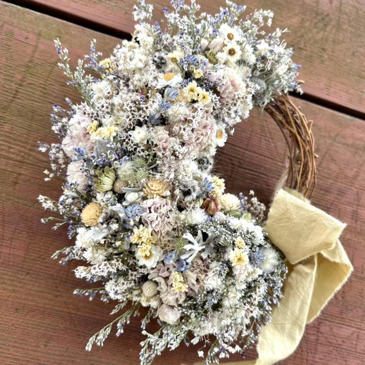 フレンチリース　カワラハハコ