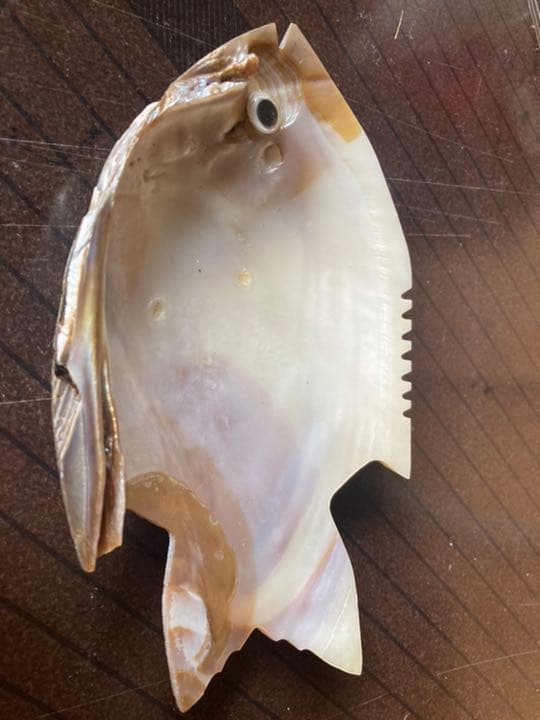 大きい二枚貝で作った小皿です小物入れ等で