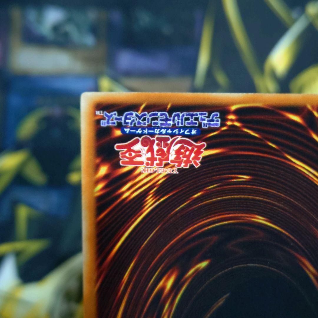 遊戯王 真紅眼の闇竜 レリーフ アルティメットレア 真紅眼の黒竜 関連カード