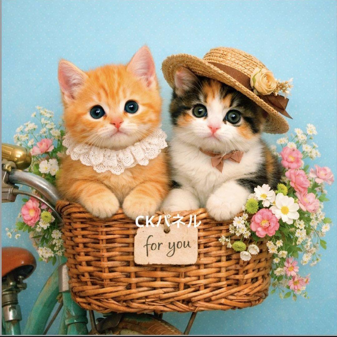 オーダー用猫ちゃんパネルサンプルページ 弐