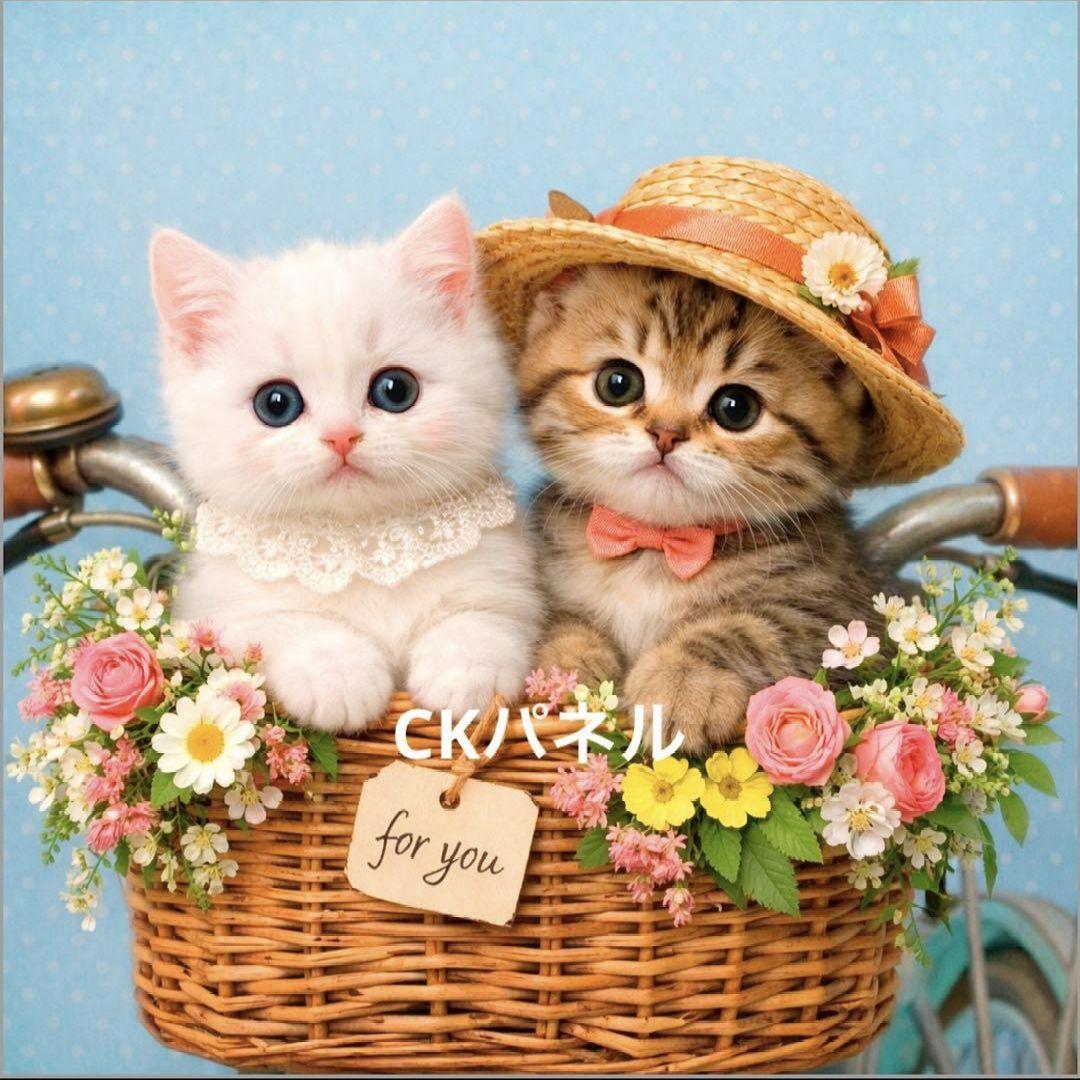オーダー用猫ちゃんパネルサンプルページ 弐