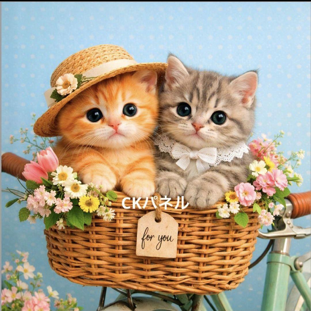 オーダー用猫ちゃんパネルサンプルページ 弐
