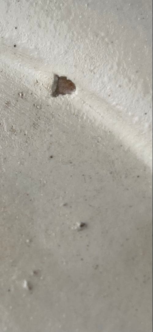 [未使用]丹波焼　丹文窯　プレート径26cm