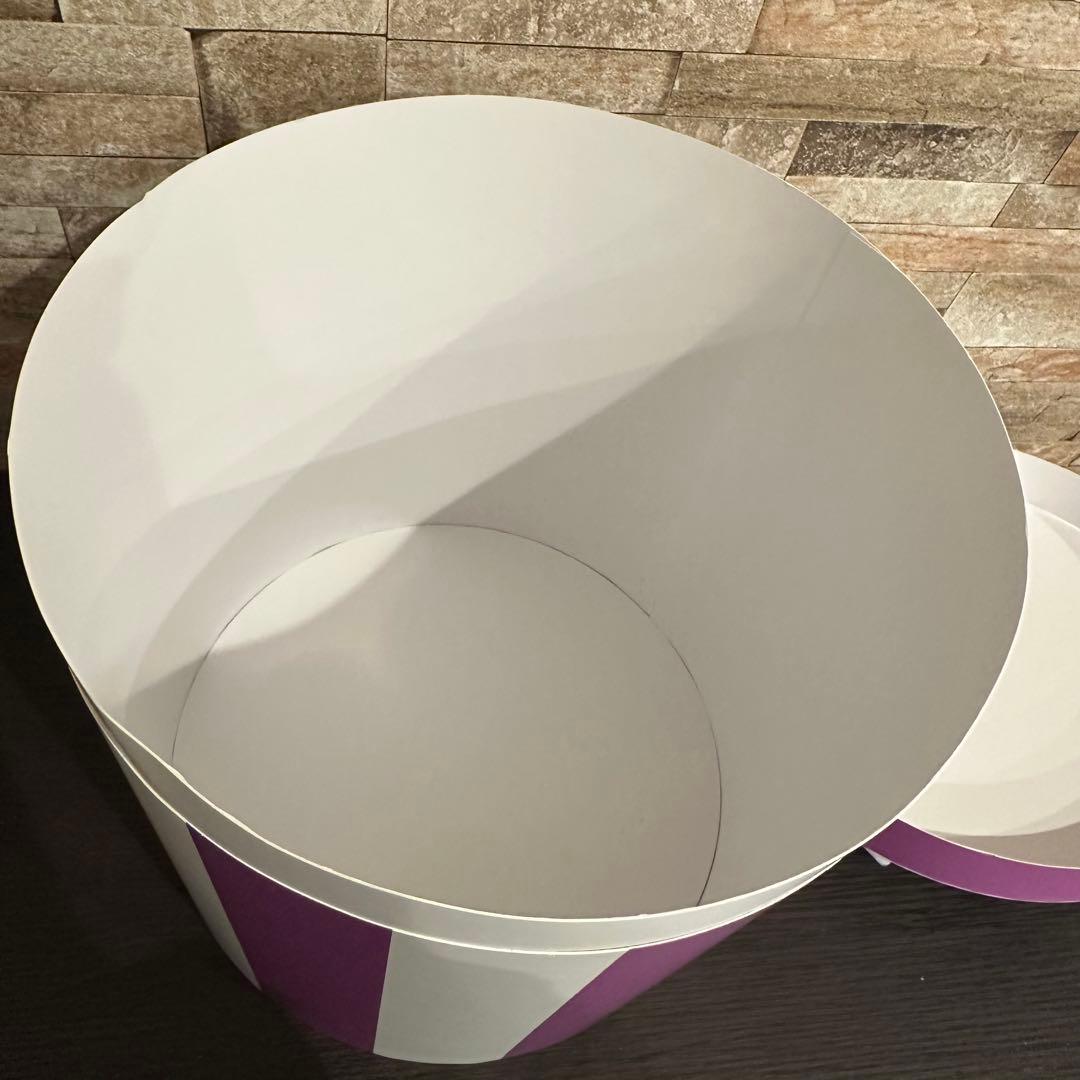 レディ ぬいぐるみ LADY AND THE TRAMP 70TH 70周年