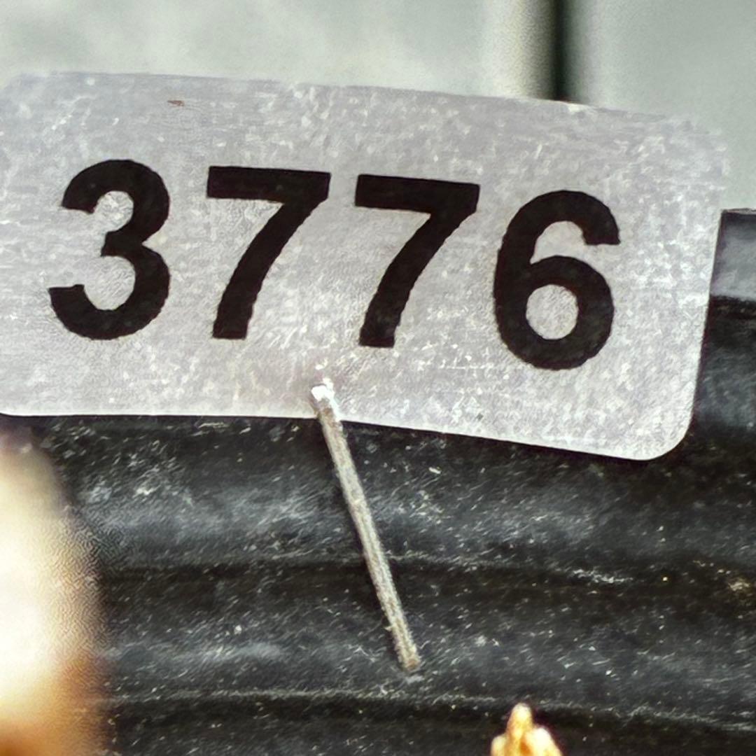 3776☘️ラスト☘️2年間管理株☘️極上☘️⭐️ボリュームSD⭐️ソレイユ⭐️小輪⭐️広瀬園芸