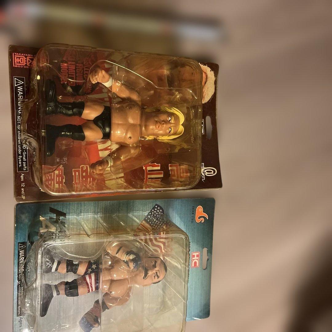 PRIDE超激レア・最終入荷高山善廣 × ドンフライ 伝説プロレス　完品美品