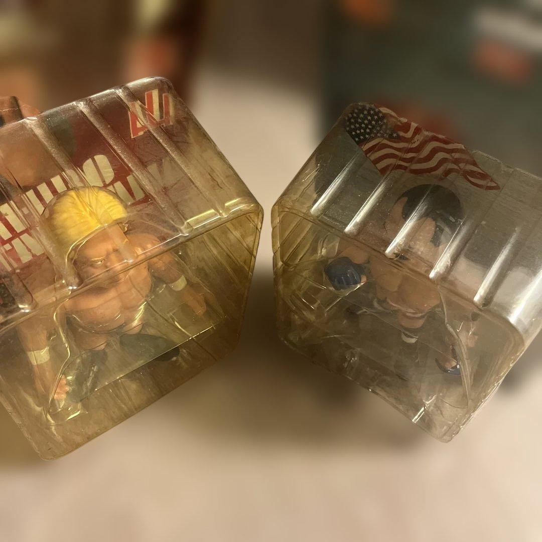 PRIDE超激レア・最終入荷高山善廣 × ドンフライ 伝説プロレス　完品美品