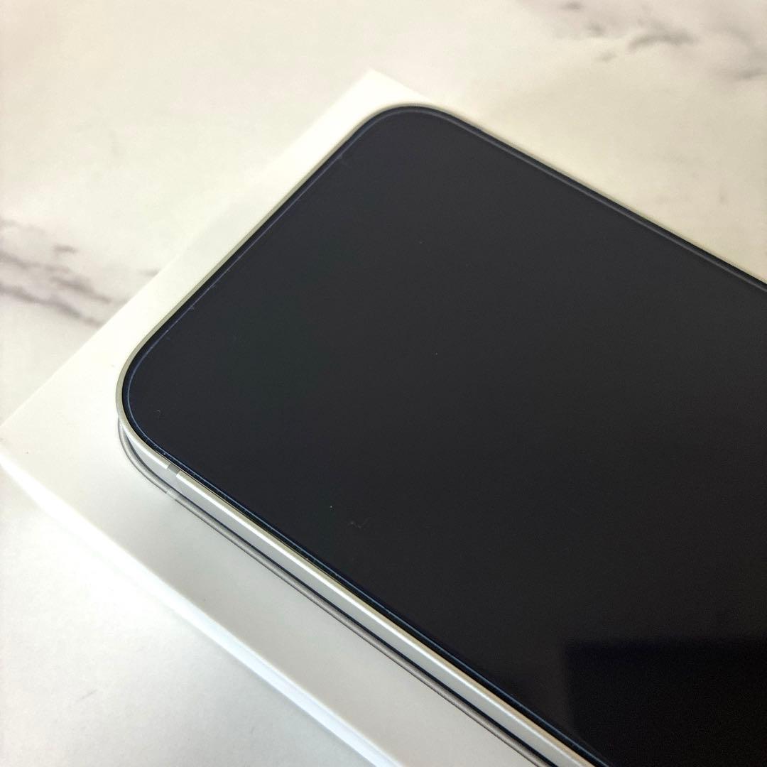 iPhone16e128GB Appleストア版SIMフリー40w電源アダプタ付