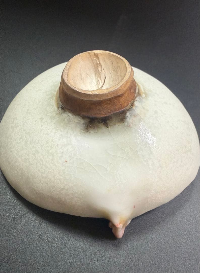 川端健太郎　盃　共箱、共布