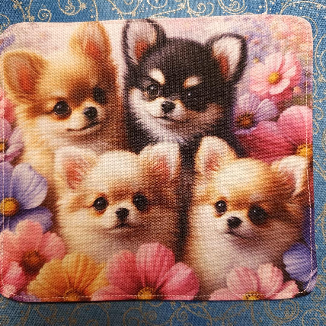 あしべ☆　ハンカチ　チワワさん柄　18枚