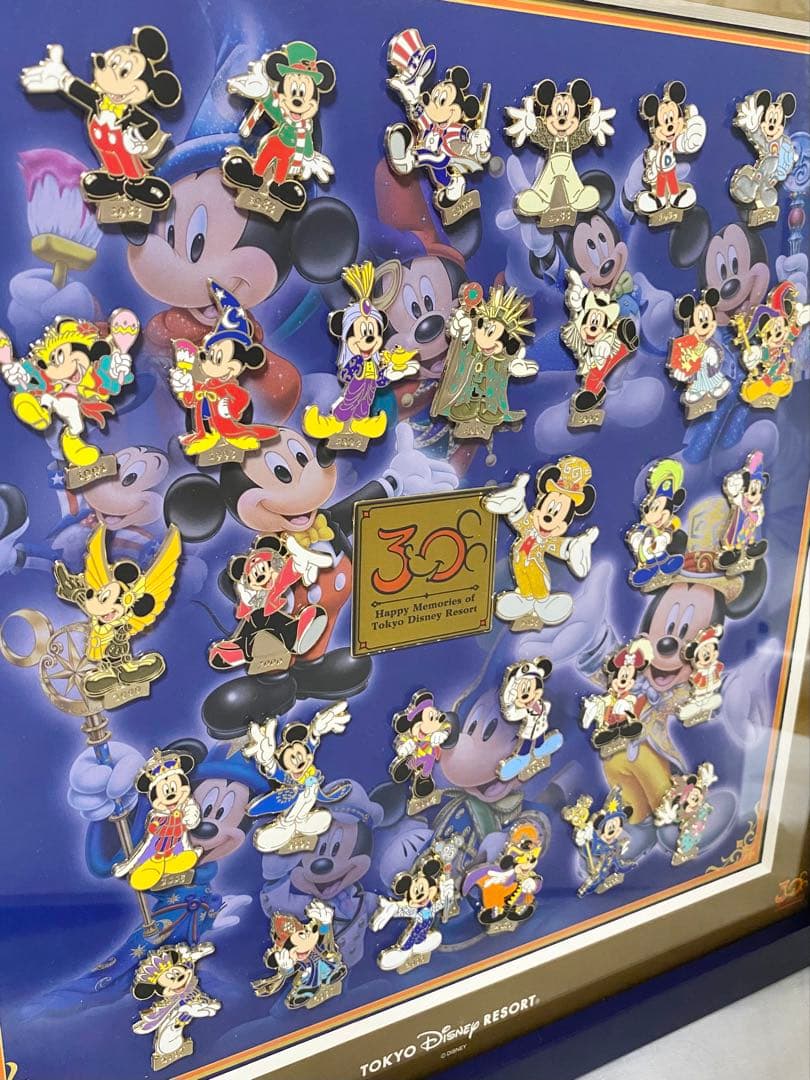 【美品】ディズニー 30周年 スペシャルコレクション ピンバッジ 30種類