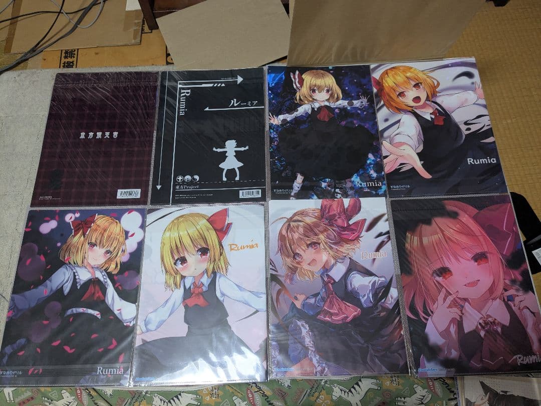 東方project　ルーミア A4クリアファイル 13枚セット