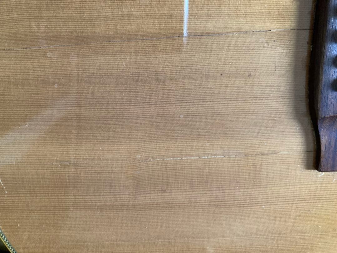 ギター cat's eyes CE800