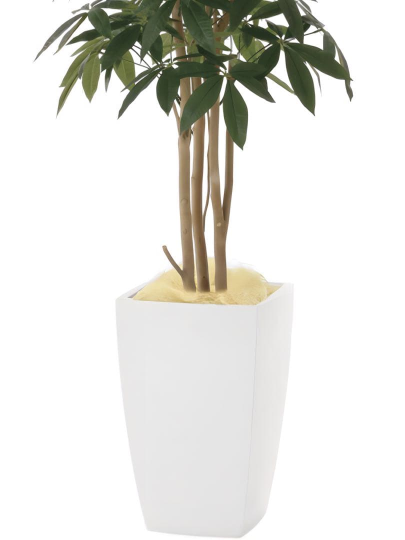 光触媒　人工観葉植物　フェイクグリーン　アーバンパキラ1.8m