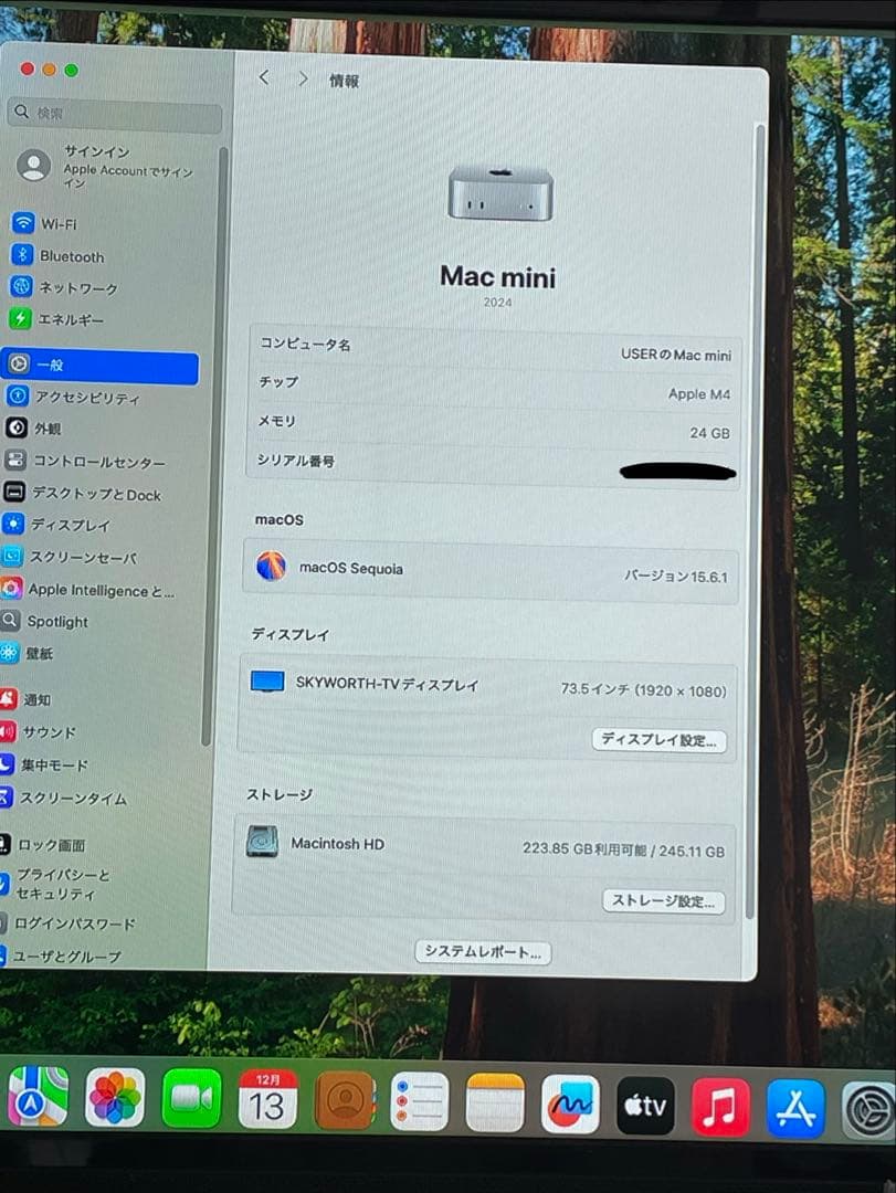 Apple M4チップ Mac mini 24GBメモリ 256GB ２０２４