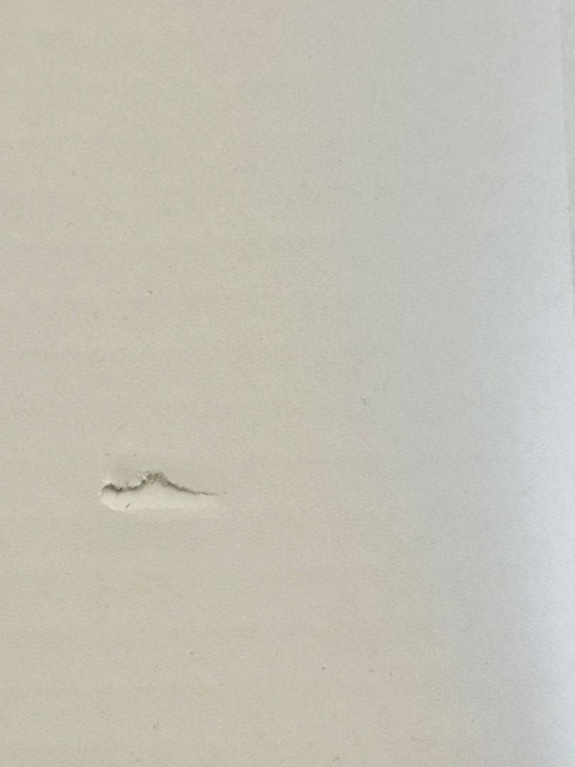 ドキドキプリキュア アクリルアートボード キュアエース