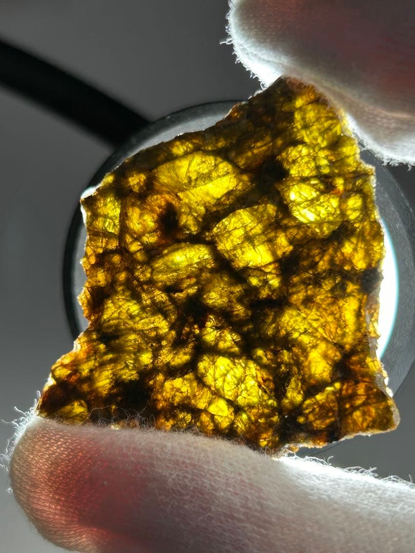 石質　隕石　NWA 7831　ダイオジェナイト　スライス　7.29g　証明書付き