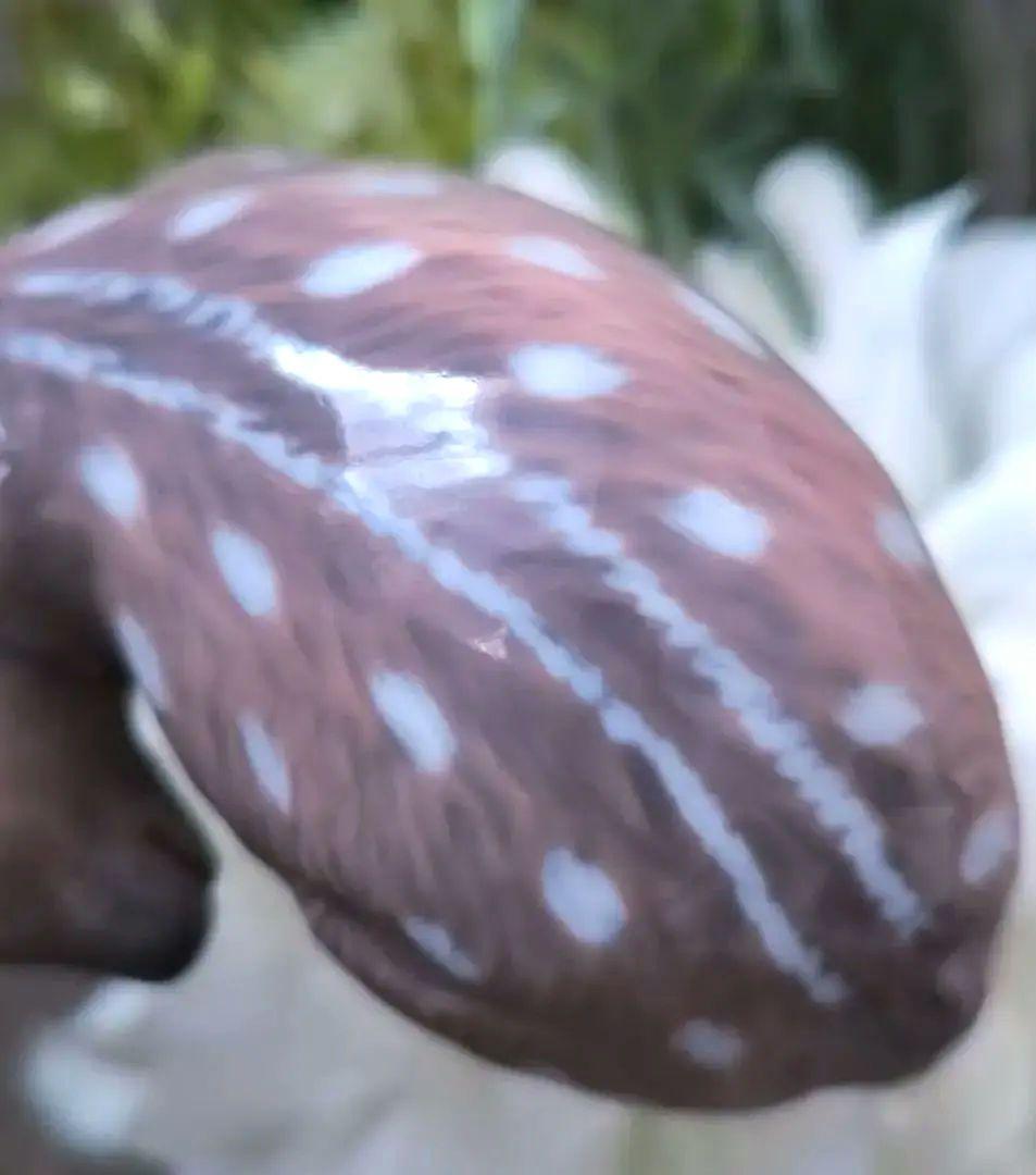 陶器 シカ 置物 ロイヤルコペンハーゲン フィギュリン ベビーファウン 小鹿 鹿