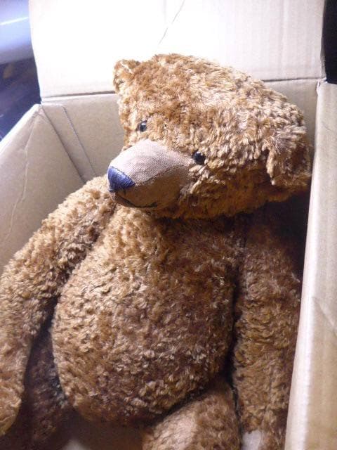 ヴィンテージ。藁の詰め物のテディベア。シュタイフのフォルム　身長が50センチ