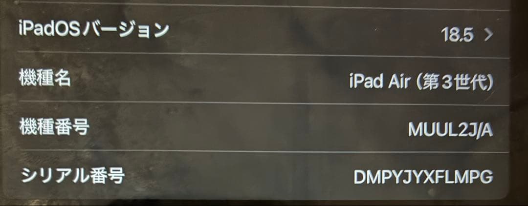 専用iPad Air 3 ゴールド 64GB Wi-Fi 他