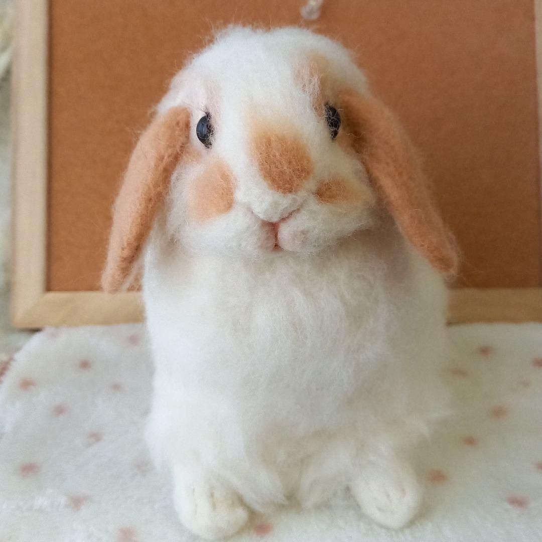 ロップイヤー ブロークンオレンジ 全身 羊毛フェルト ハンドメイド インテリア