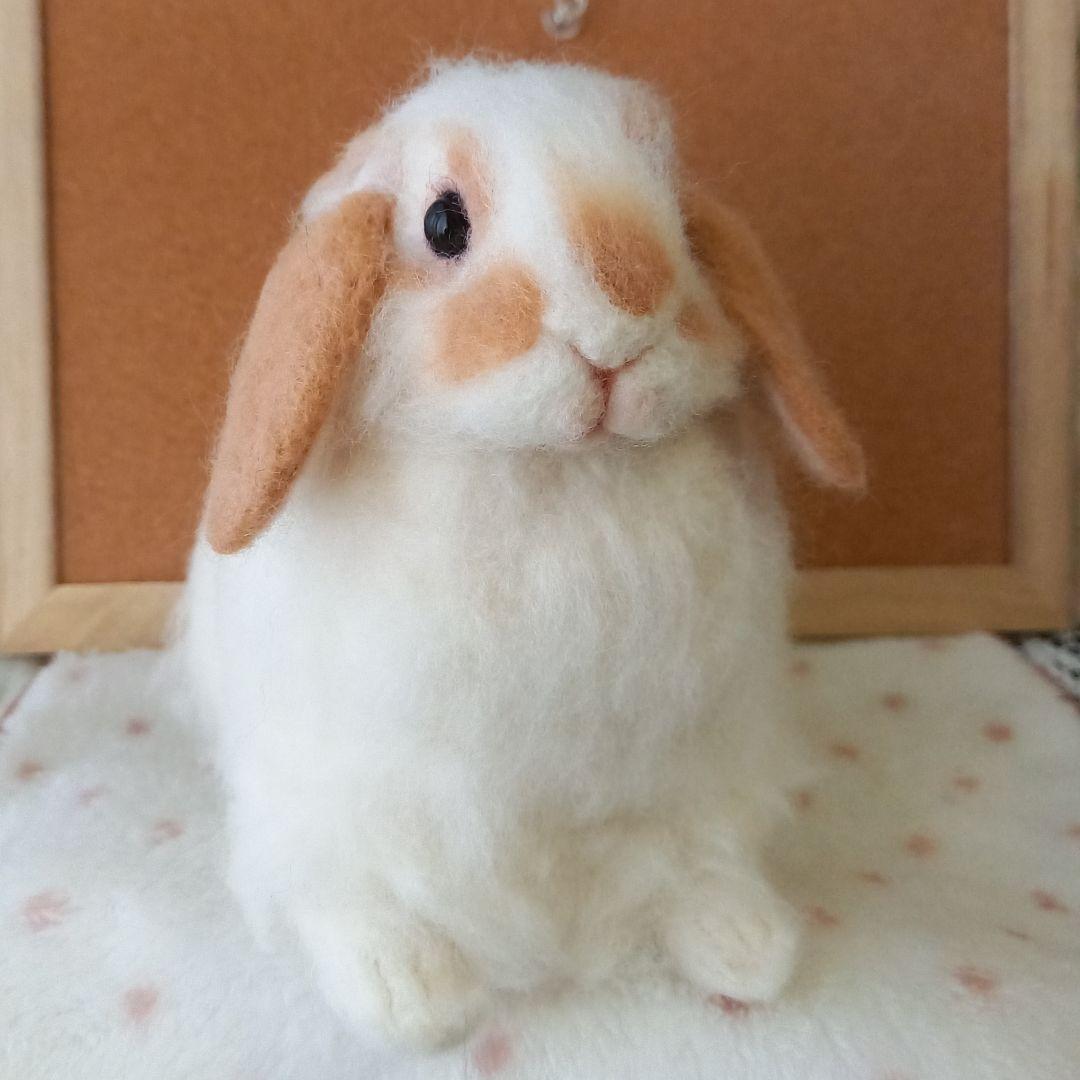 ロップイヤー ブロークンオレンジ 全身 羊毛フェルト ハンドメイド インテリア
