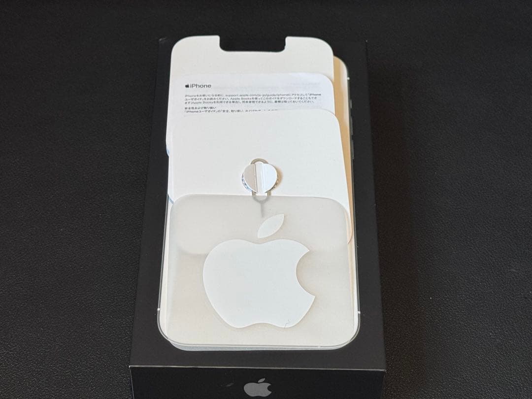 Apple iPhone 13 Pro Max 256GB シルバー 本体 美品