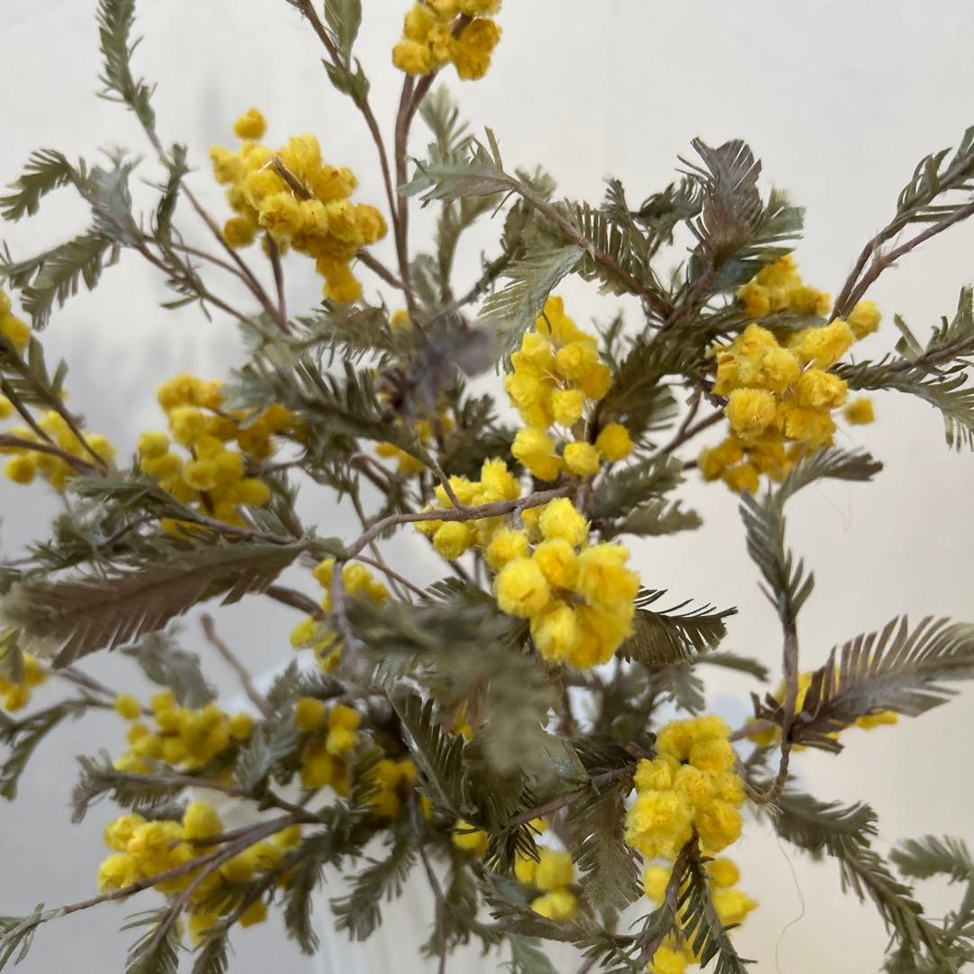 【染め花】ミモザ　アートフラワー3本　ハンドメイド