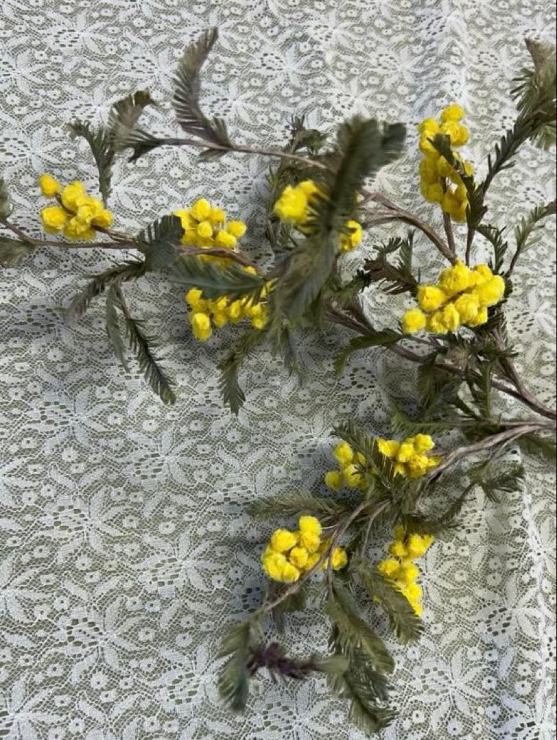 【染め花】ミモザ　アートフラワー3本　ハンドメイド