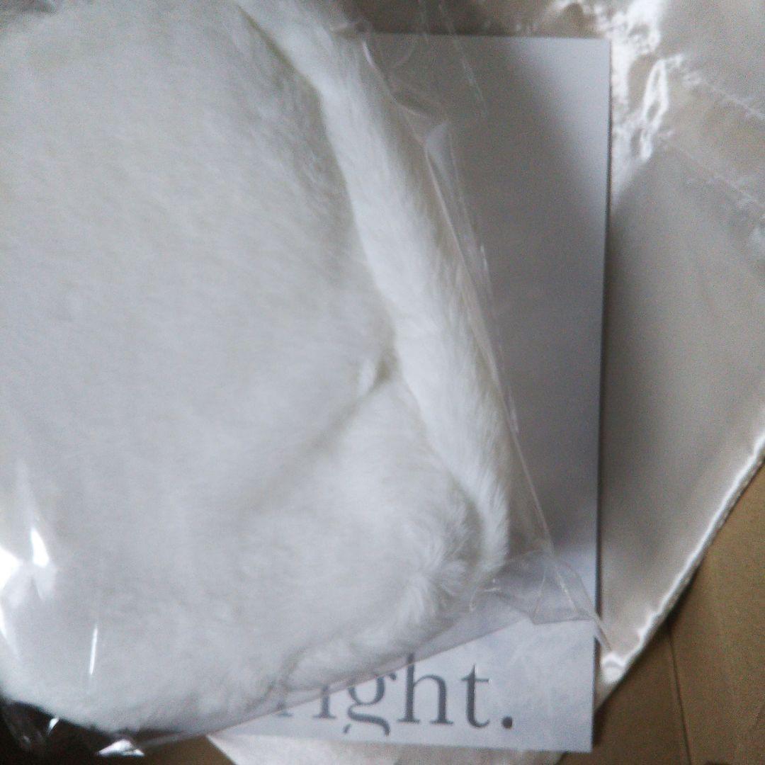 Number_i プラスチックカード付き 雪肌精 ポーチ ホワイト
