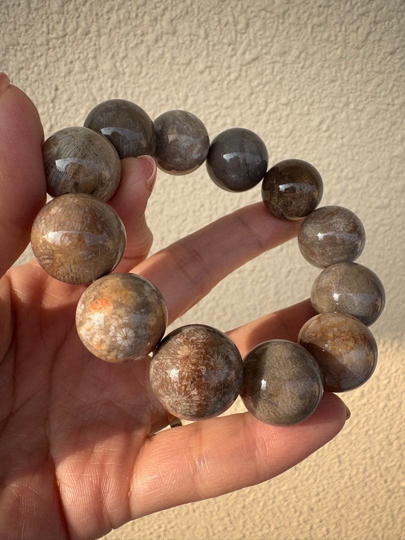 ♡艶々渋カラー♡17ミリUP 大玉　フォシルコーラル　ブレスレット