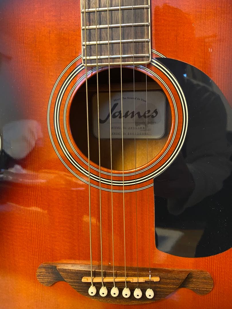James JF-350WBアコースティックギター