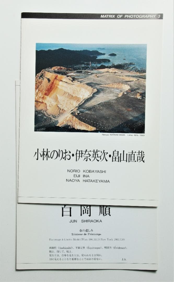 柴田敏雄　白岡順　安田千絵　他　川崎市民ミュージアム　リーフレット　全4点
