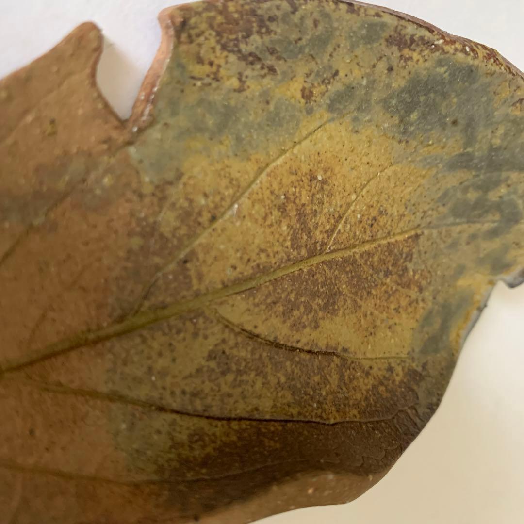 【一点物】信楽焼　朴葉皿　2枚セット　葉　葉っぱ　葉脈　細密技巧　リアル焼物