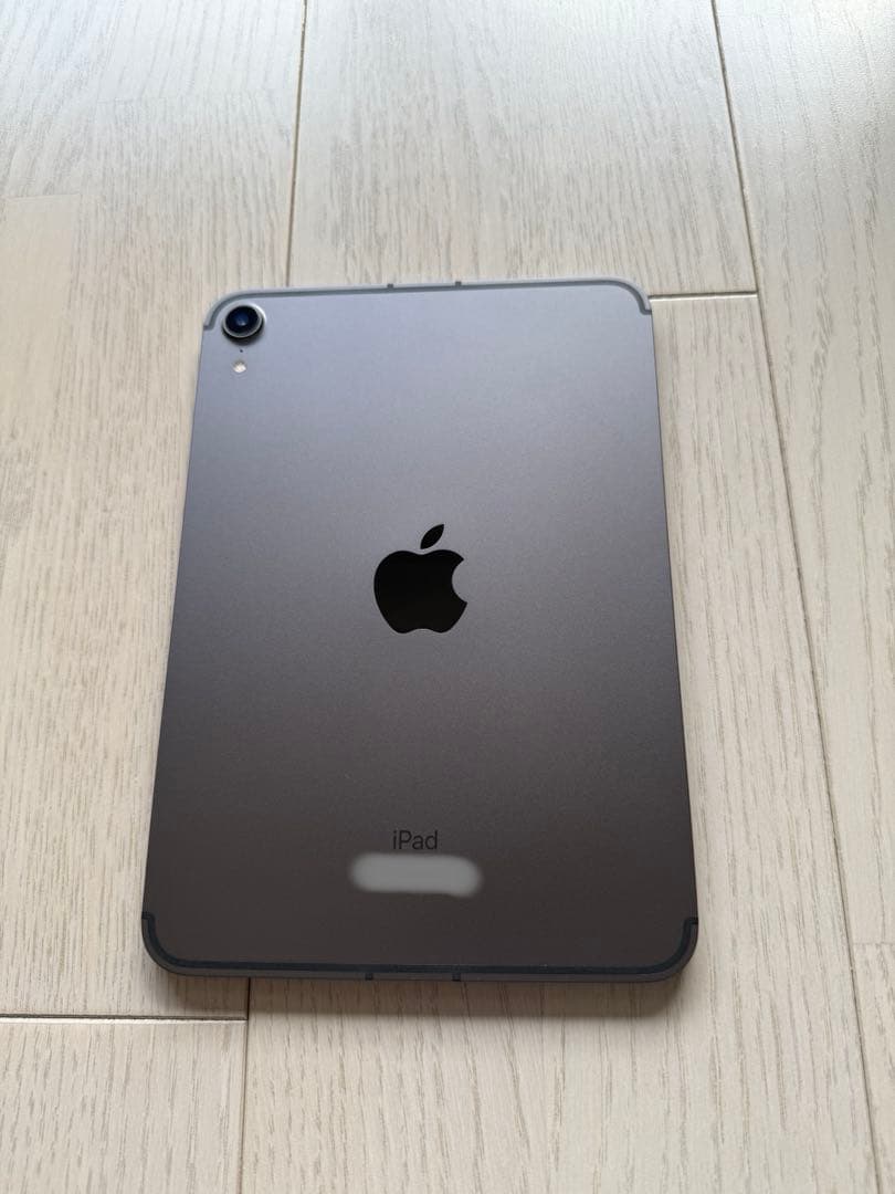 Apple iPad mini スペースグレー 本体 ペンシル付き
