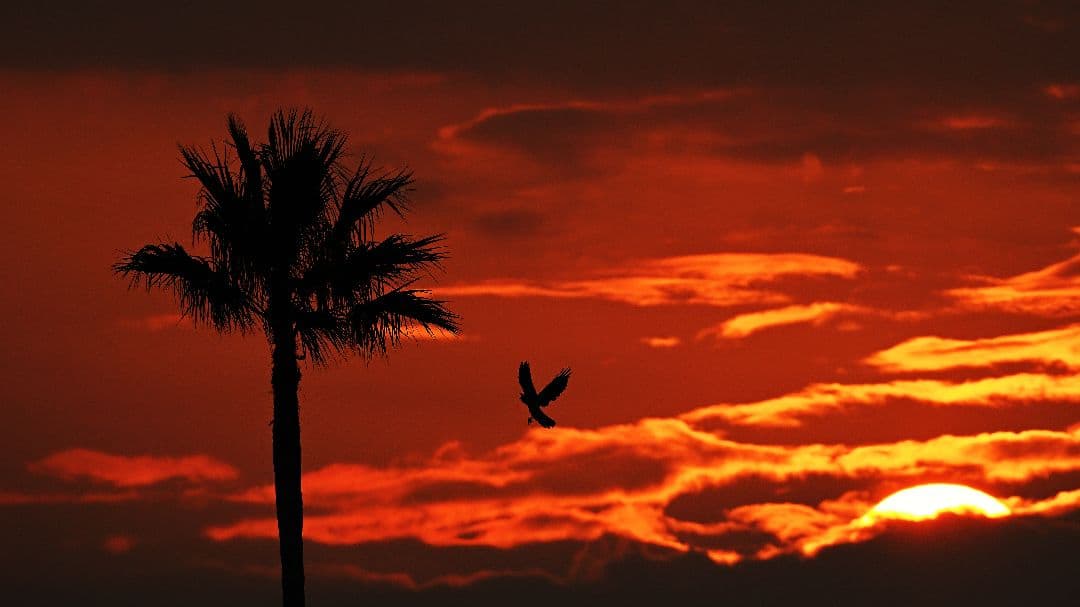 【良品】AF-S NIKKOR 200-500mm f/5.6E ED VR