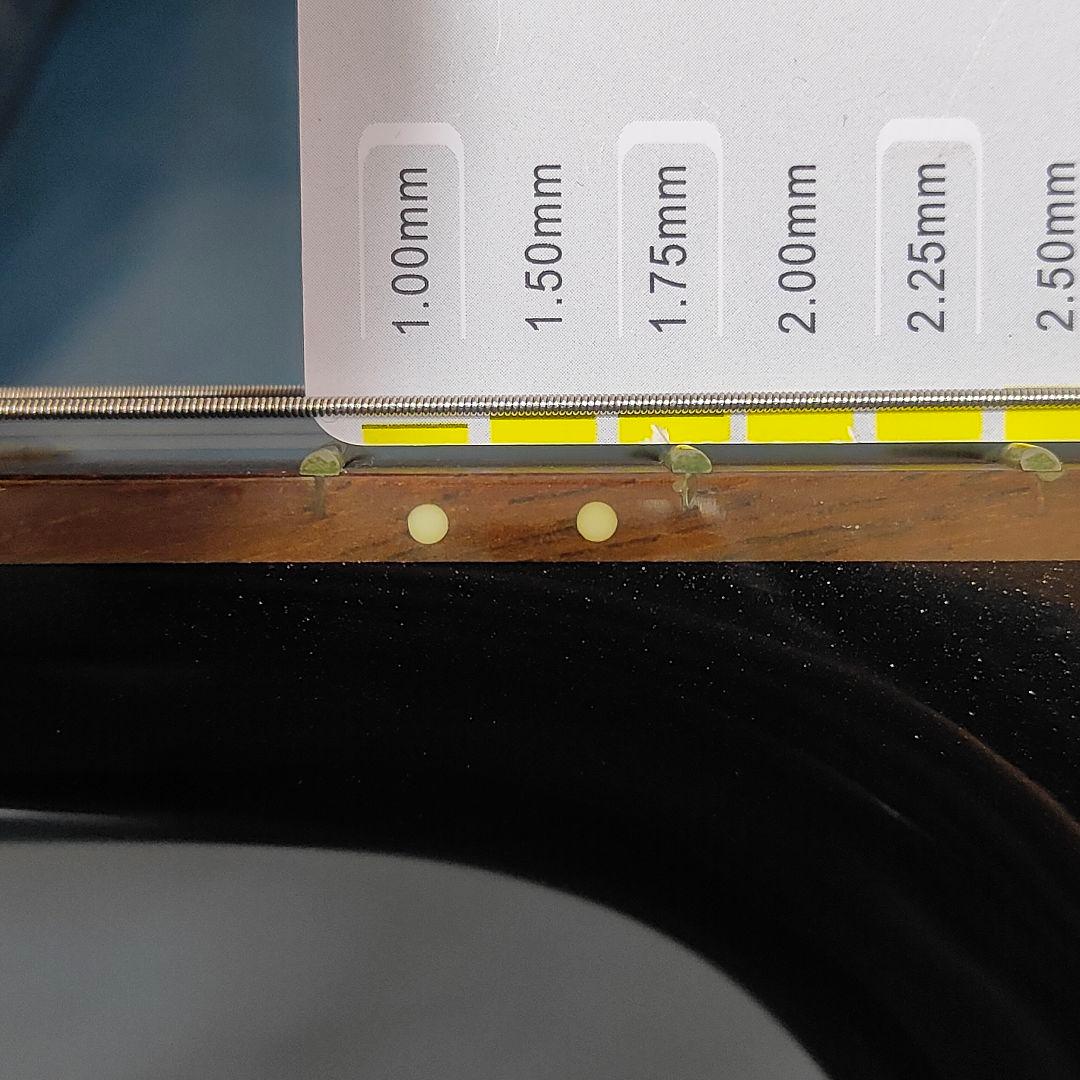 YAMAHA サイレントギター SLG-100S 新品弦交換済 レアカラー