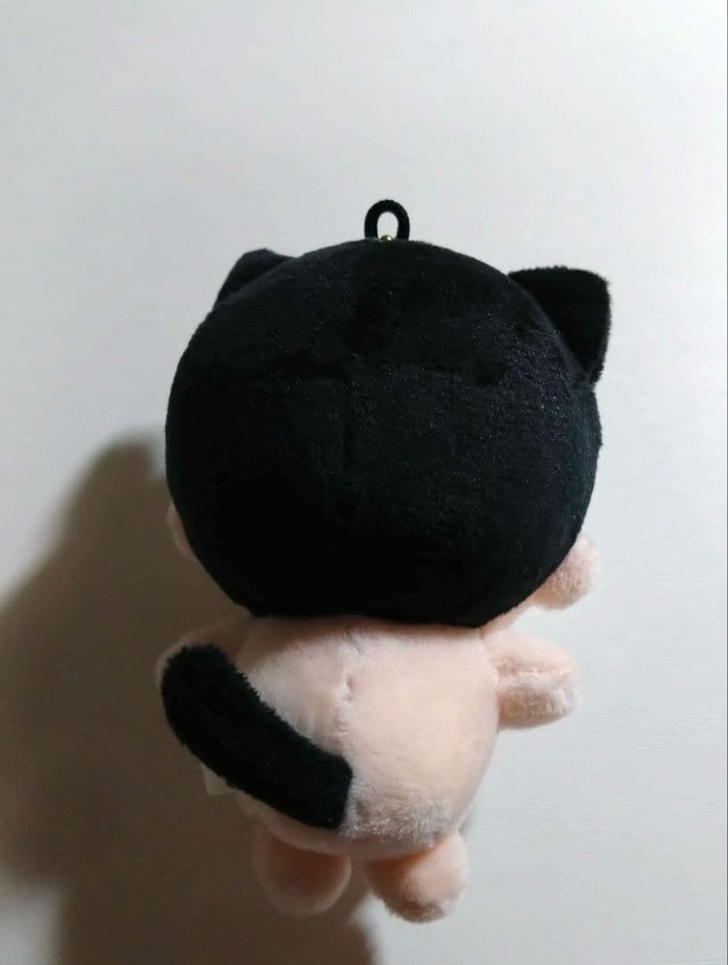 WayV テン　テンにゃんぬいぐるみ　10cm
