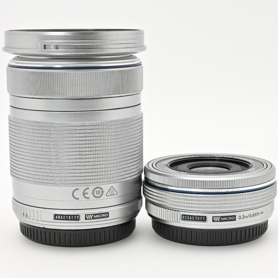 【ショット数:2711回】 OLYMPUS PEN E-PL10 ダブルズーム