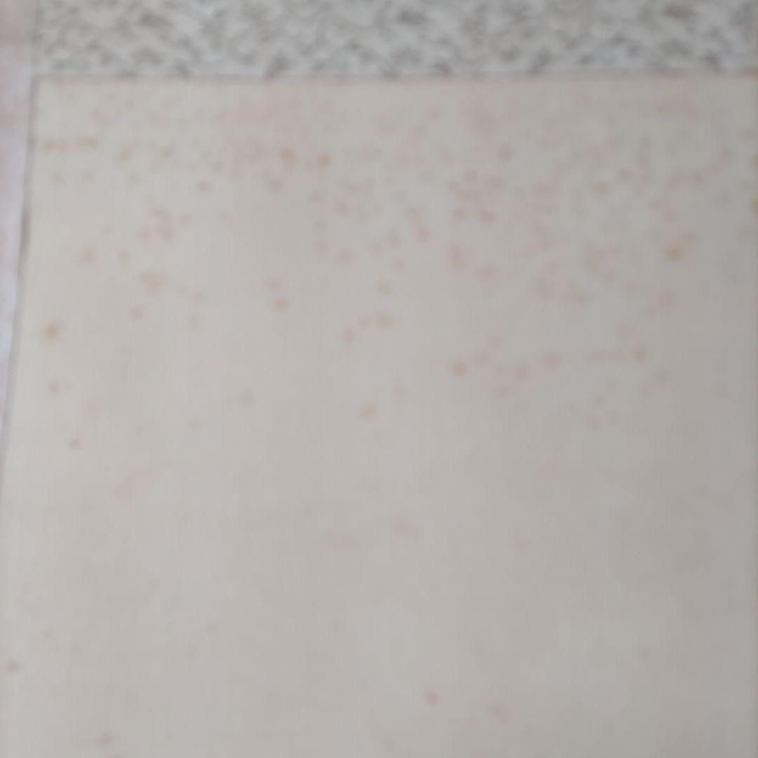 紙雛掛軸　英舟　Y271