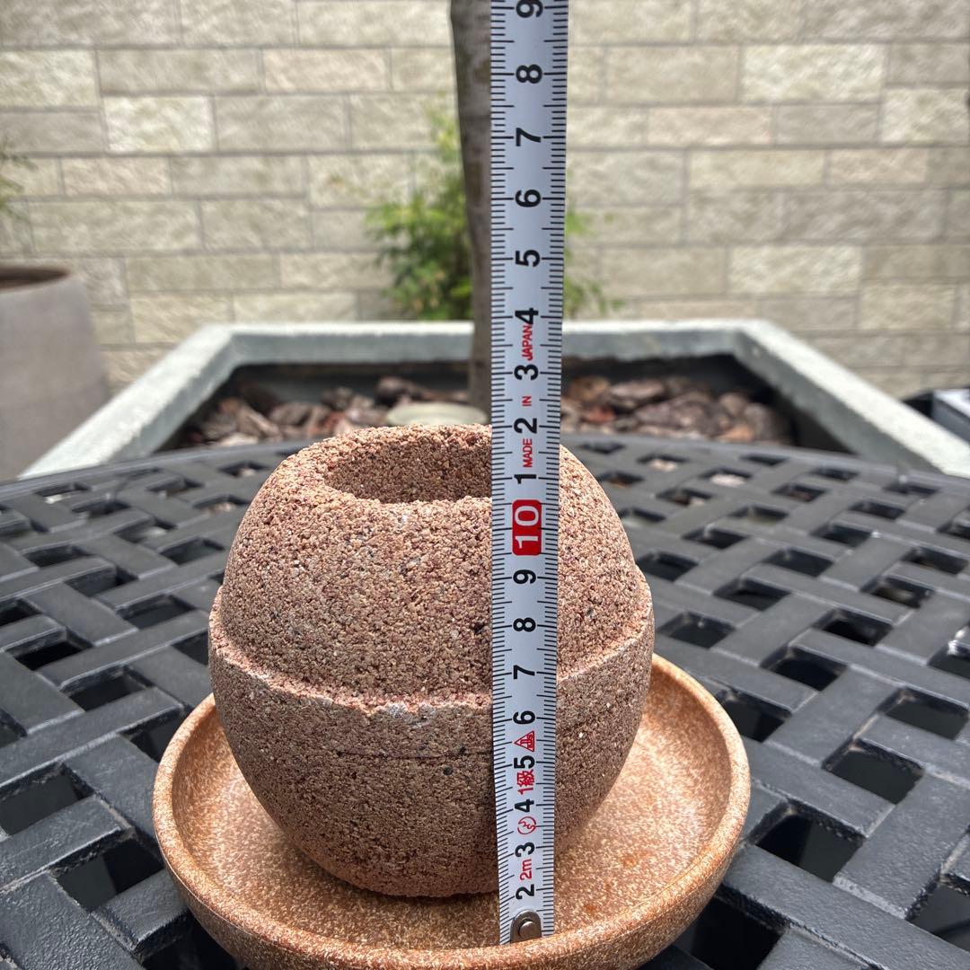 HACHI 鉢 アクアプラントポット　3セット（皿付き）